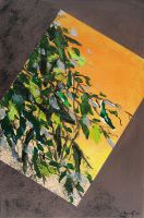 Ausblick heißt Ausweg - 60x40 cm (2012) ausblick-heisst-ausweg